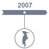 3 2007